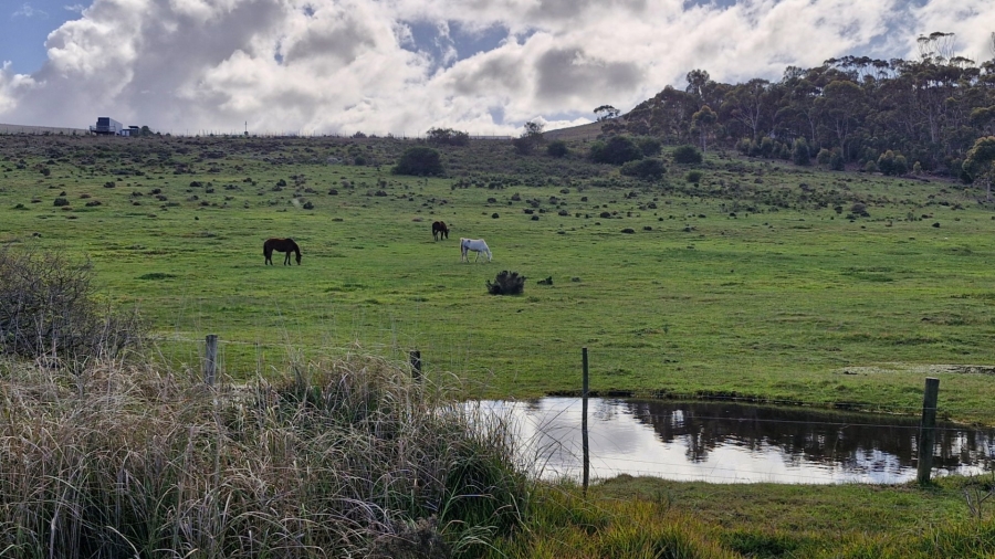 Commercial Property for Sale in Baardskeerdersbos Western Cape